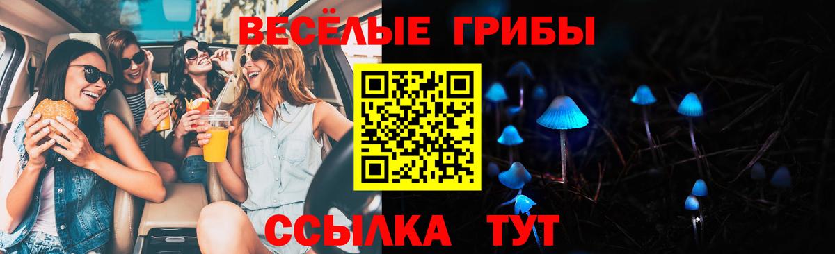 Псилоцибиновые грибы ЛСД Надым